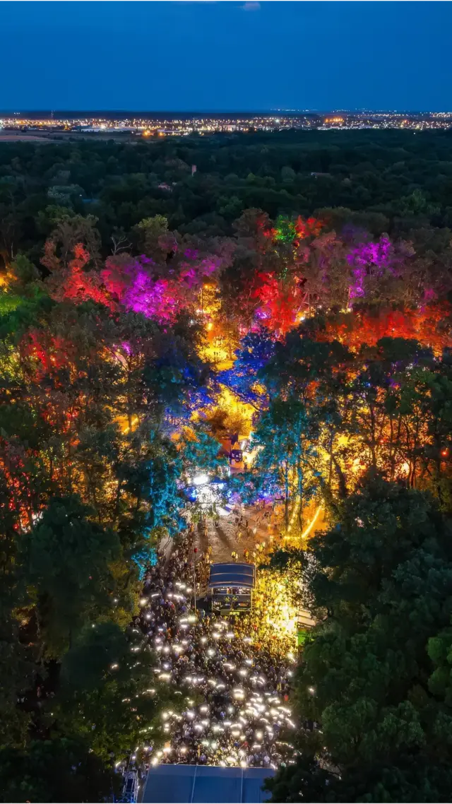 Poster still, Codru Festival recap